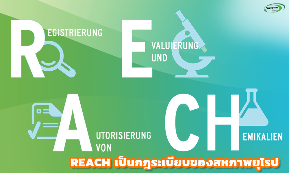 2. REACH เป็นกฎระเบียบของสหภาพยุโรป