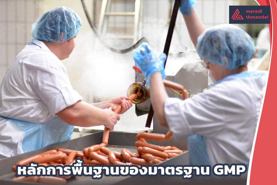 หลักการพื้นฐานของมาตรฐาน GMP